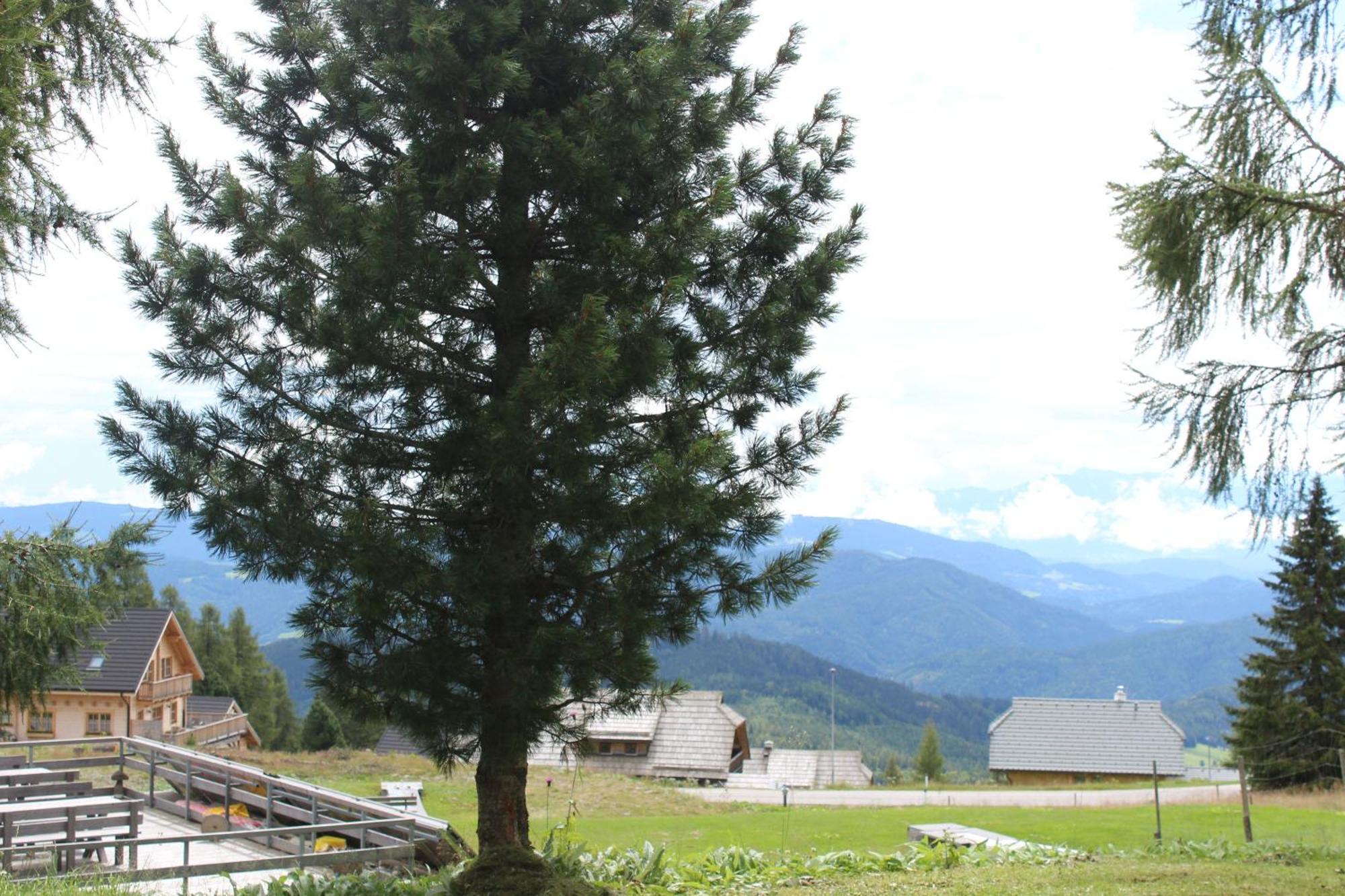 Haus Karoline
